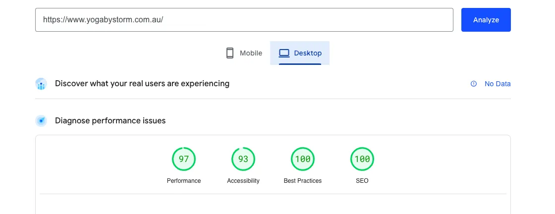 Website performance and SEO analysis results for desktop.