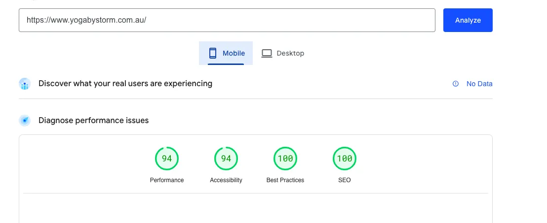 Website performance scores for mobile analysis.